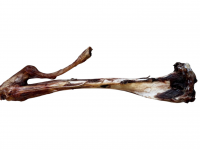 2 Reh Fleisch Markknochen