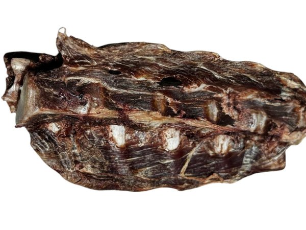 Fleischiger Reh Filetknochen