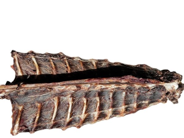 Fleischiger Reh Rückensteak Knochen