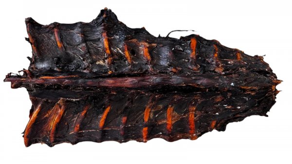 Hirschschinken Rückenknochen