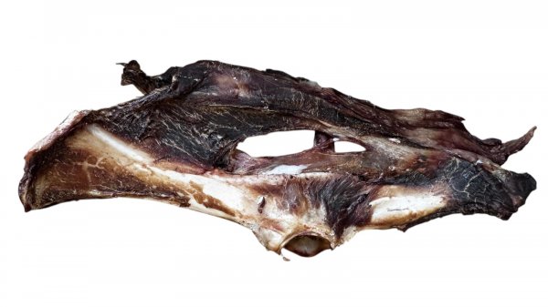 Fleischiger Reh Hüft- mit Schwanzwurzel Knochen