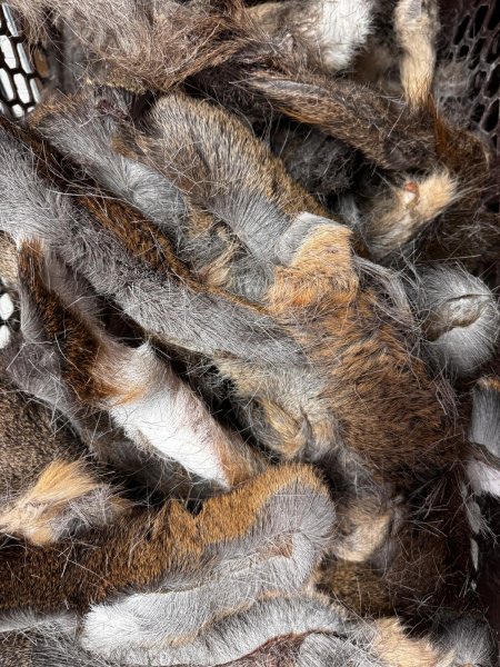 Getrocknete Reh Haut mit Fell I Darmreiniger & Robuster Kauspaß Hund